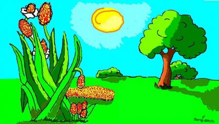 un paysage paisible