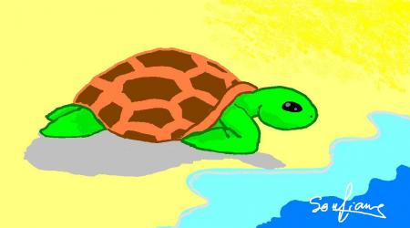 tortue de mer